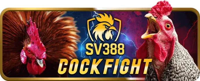 Giao dịch nhanh chóng K066 Win